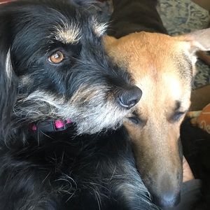 Meet your Posher, Patricia